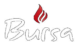 Bursa Kebab in East Sussex, Takeaway Order Online